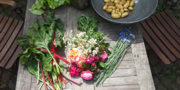 Garten der Vielfalt