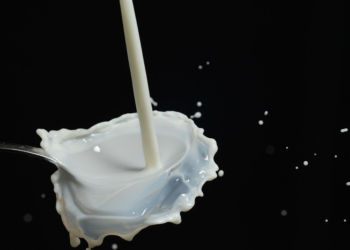 Milchwirtschaft in der Diskussion