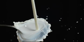 Milchwirtschaft in der Diskussion