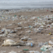 ‚Plastikfasten‘ in Mölln