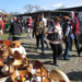 Biosphäre-Schaalsee-Markt startet am 1. April mit erweitertem Angebot in die neue Saison