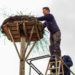 Mit dem Storch kommt der Frühling ….