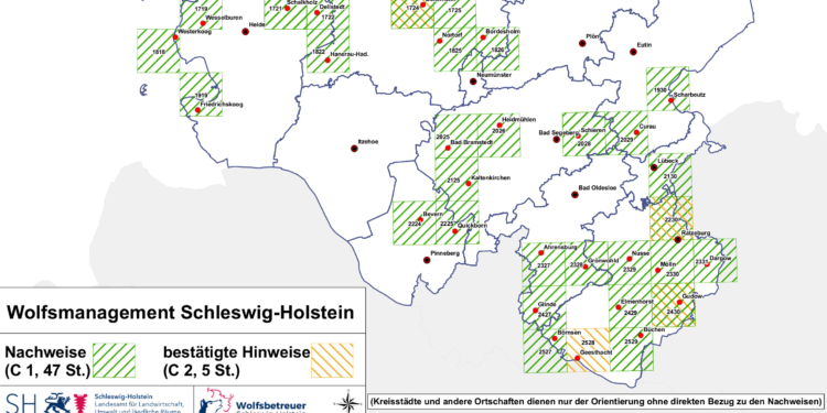 Wolfsnachweis bei Lütjensee