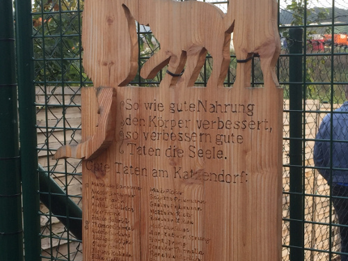 CDU für Katzenschutz-Verordnung in Mölln