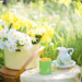 Springendes Sommercafé in Berkenthin
