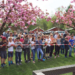 47 Optimisten zu Gast am Ratzeburger See