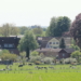 Die sanften Riesen sind los