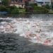 Deutsche Freiwassermeisterschaften in Mölln