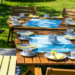 Neu: Springendes Sommercafé in Berkenthin