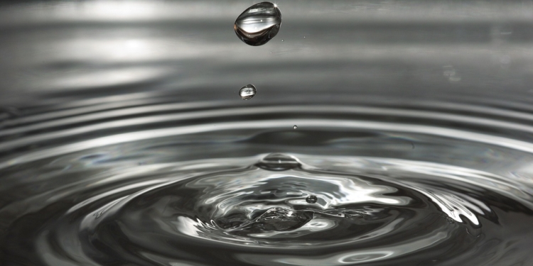 Gedanken zum ‚Wasserbewußtsein‘