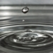 Gedanken zum ‚Wasserbewußtsein‘