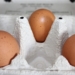 Verbraucherschutzministerium zu Fipronil-belasteten Eiern