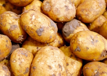 Pflanzenschutzmittelrückstände in Kartoffeln?