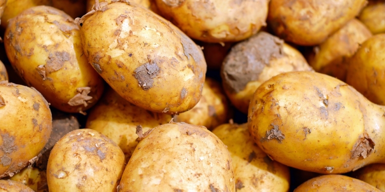 Pflanzenschutzmittelrückstände in Kartoffeln?
