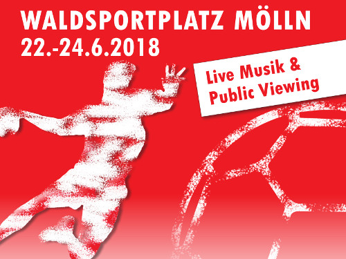 50. Eulenspiegel-Pokalturnier für Handball-Jugendmannschaften
