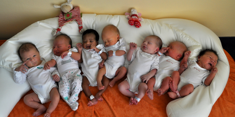 Acht Babys an einem Tag!