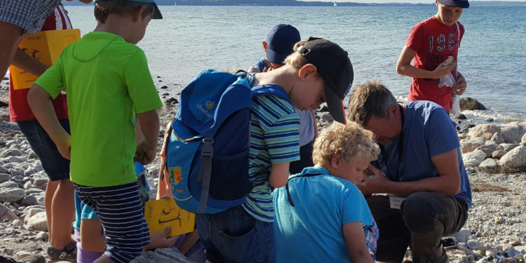 Steine für Kids – das GeoPark Ferienprogramm für die Metropolregion