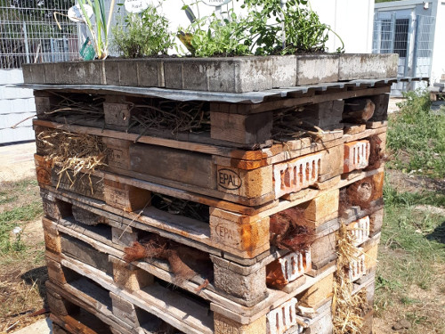 Insektenhotel im Tierheim Roggendorf