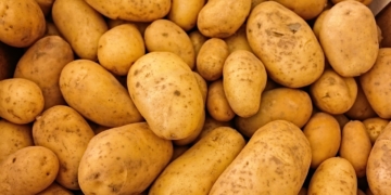 IHK-Sommertour im Kreis Herzogtum Lauenburg: ‚Beeindruckende Innovationsfähigkeit der Wirtschaft‘