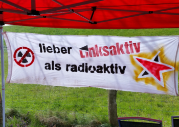 Linke: Rückbau AKW Krümmel? Ja – aber sicher!