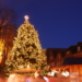 Mölln sucht einen Weihnachtsbaum