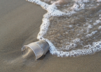 EU-Parlament für Verbot von Wegwerf-Plastikprodukten