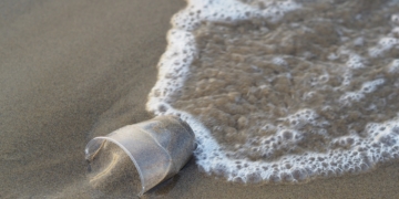 EU-Parlament für Verbot von Wegwerf-Plastikprodukten