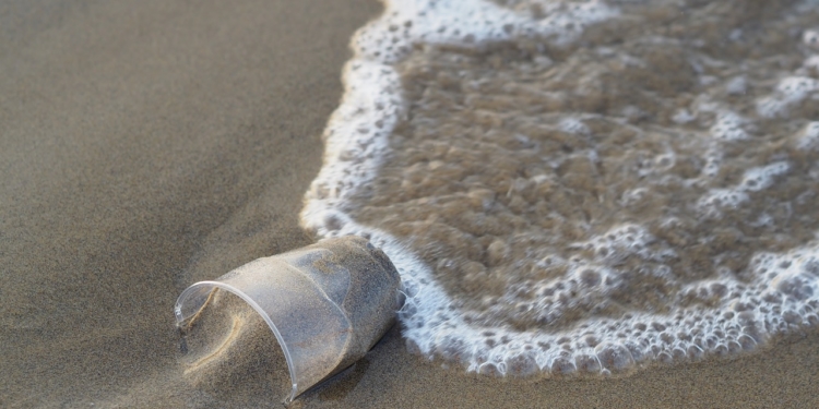 EU-Parlament für Verbot von Wegwerf-Plastikprodukten