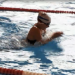 Kreisschwimmer kämpfen um letzte Qualifikationszeiten für die SHSV-Kurzbahnmeisterschaften