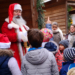 Wunderschöne ‚Wilde Weihnacht‘