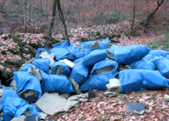 Umweltsünder gesucht