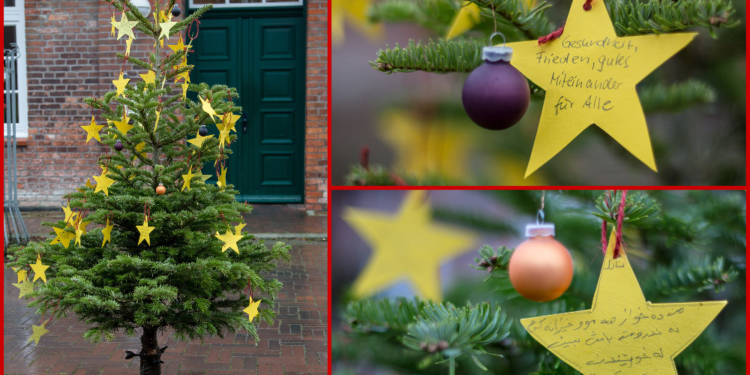 Die Evangelische Familienbildungsstätte Ratzeburg wünscht gesegnete Weihnachten und ein gutes Neues Jahr!
