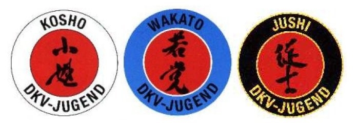 RSV: Karate-Kids sichern sich Samurai-Sportabzeichen