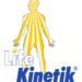 LiFe Kinetik – mit Sport zu besserer Gedächtnisleistung?