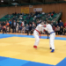Ju-Jutsu Leistungssport schafft Leitbilder über den Sport hinaus