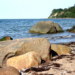 GeoPark Exkursionen: Das Meer ruft