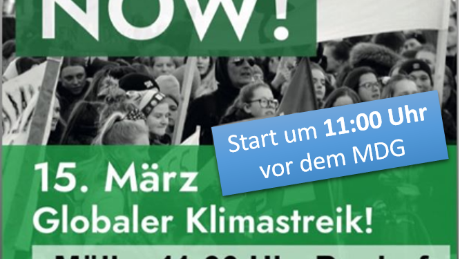 ‚Fridays For Future‘ auch in Mölln