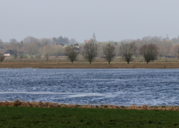 Wasser satt im Moor von Duvensee