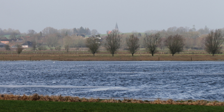 Wasser satt im Moor von Duvensee