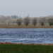 Wasser satt im Moor von Duvensee