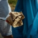 Büchen: Müllsammel-Aktion ‚Unser sauberes Schleswig-Holstein‘ am 23. März