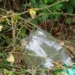 Müllsammel- und Dorfputzaktionen 2019 in den Gemeinden des Amtes Berkenthin