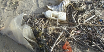 Plastik im Meer – Wie stoppen wir die Plastikflut?