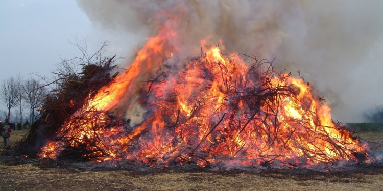 Tierschutzbeauftragte weist auf Gefahr für Wildtiere beim Osterfeuer hin