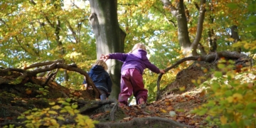Mit Krippenkindern draußen? Einen Waldtag gestalten mit Kindern unter drei Jahren