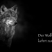 Der Wolf kehrt zurück – Pro und Kontra