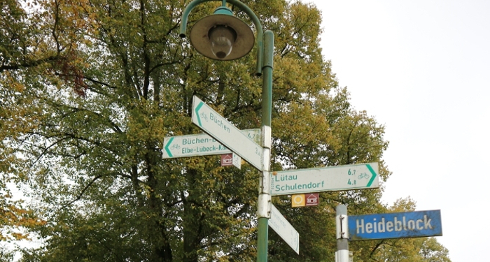 Die Region Sachsenwald-Elbe sammelt Radkilometer zum Tag des Fahrrads
