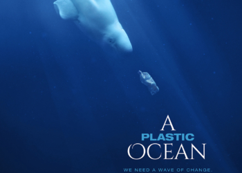 Plastik bedroht auch Ostsee