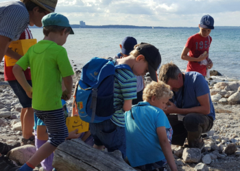 Von Hühnergöttern zur Erdgeschichte – Das Ferienprogramm des GeoParks