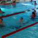 Mölln schwimmt sich frei!